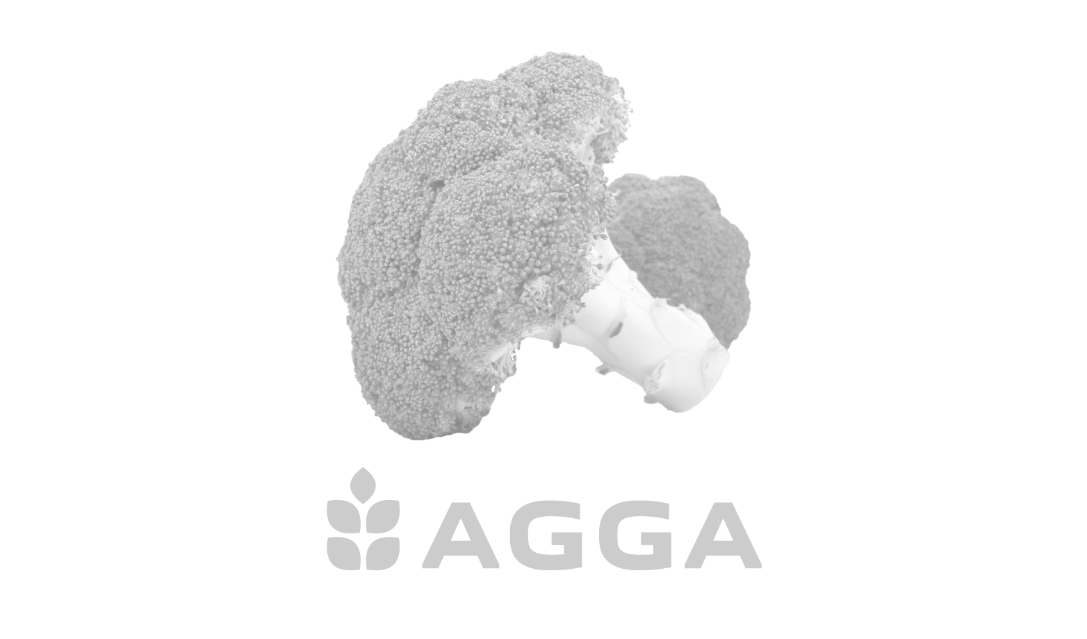 Зображення за замовченням категорії Буряк